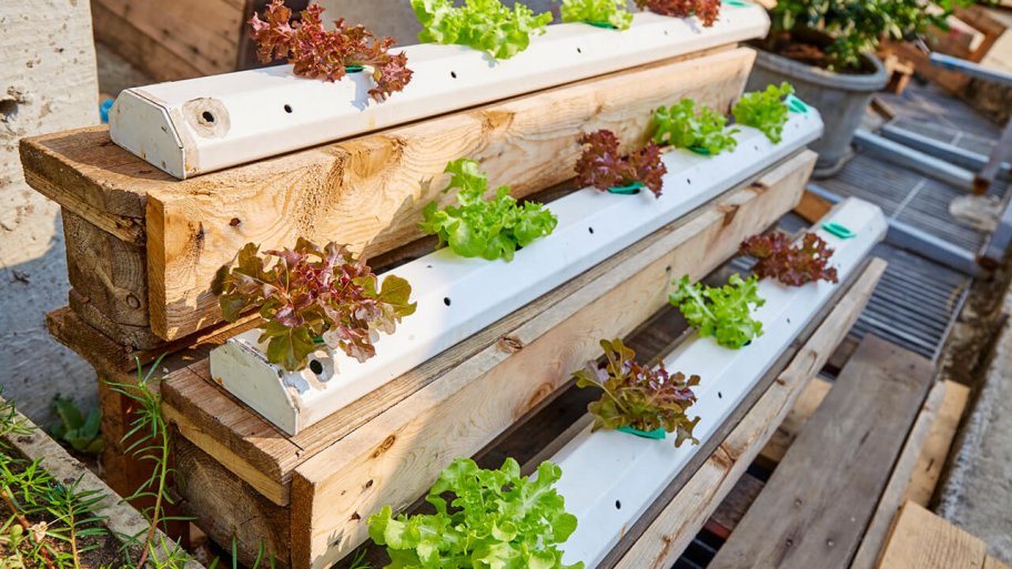 Three-tiered home hydroponic garden